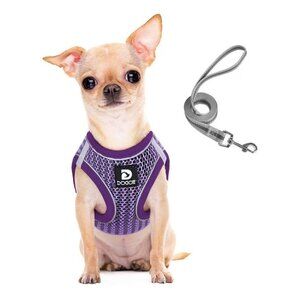 Step in Dog Harness and Leash Set Reflective Mesh Pet Puppy Chest Strap Vest XS